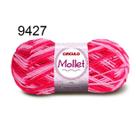 Fio Mollet Círculo 100g Cor II