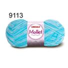 Fio Mollet Círculo 100g Cor II