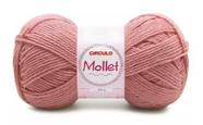 Fio Mollet Círculo Cor 3286 Figo 100 Gramas - 200 Metros Fio Mollet Círculo Cor 3286 Figo 100 Gramas - 200 Metros