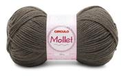 Fio mollet circulo cor 7417 chumbo 100 gr - 200 metros Fio mollet circulo cor 7417 chumbo 100 gr - 200 metros