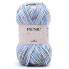 Fio Picnic Pingouin 100g