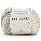 Fio Serenata Pingouin 50g - Coleção Álbum de Memórias Fio Serenata Pingouin 50g - Coleção Álbum de Memórias