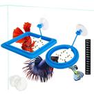 Fish Feeding Ring Deans Florithing Blue para Guppy, Betta