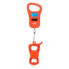 Fish Scale KastKing ToughTide, carregamento USB, capacidade de 30 kg