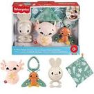 Fisher Price KIT Sensorial Explore Seus Sentidos Mattel HRB17