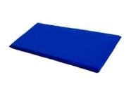 Fisic form colchonete 1,00x0,60x0,03