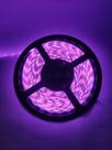 Fita de LED 3528 Rosa Rolo 5m - Bivolt