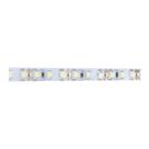 Fita de Led Blumenau PRO com 5 Metros 120 LEDs/m 12W 12V Fita de Led Blumenau PRO com 5 Metros 120 LEDs/m 12W 12V