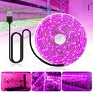 Fita De LED De Espectro Completo Para Cultivo 5V USB 2835 Lâmpadas Fito Para Plantas Estufa