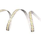 Fita de Led Nordecor com 50 metros 240Leds/m 20W 12V