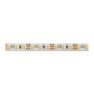 Fita de Led Save Energy com 5 Metros 18W 12V