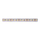 Fita De Led Save Energy Com 5 Metros Ip65 12W 12V