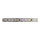 Fita de Led Taschibra com 5 Metros 120 LEDs/m 10W 12V