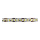 Fita de Led Taschibra com 5 Metros 180 LEDs/m 16W 12V Fita de Led Taschibra com 5 Metros 180 LEDs/m 16W 12V