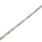 Fita Led 12V 2700K IP20 5W/m Rolo 5M Bella LP224