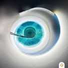 Fita Led 12V 5 Metros LED 240SMD Leds Por Metro IP20