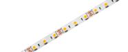 FITA LED 12V EVO STELLA 10W/m