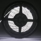 Fita LED 3528 Branca Fria a prova dágua - rolo 5m Ledsafe