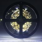 Fita LED 3528 Branca Fria - rolo 5m Ledsafe