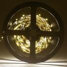 Fita LED 3528 Branco Quente - rolo 5m Ledsafe
