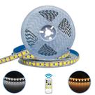 Fita Led 5025 2 Cores BF+BQ 120 Leds/m Controle Dimerizável