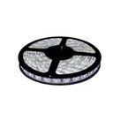 Fita LED 5050 10W 6500K 220V (Venda por metro) - Nitrolux