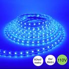 Fita led 60 led mangueira chata 110V por metro