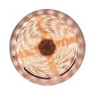 Fita Led Avant Risqué Interno IP20 12V 20W/M NE4,0K 5M
