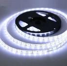Fita Led Branco Frio 3528 5m 60 Leds 12v Brilho 6500k