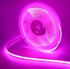 Fita LED COB Rosa 10W 360 LEDs 12V IP44 5 Metros