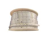 Fita LED Gaya Super Brilho 3535 220V 10W Valor do Metro Fita LED Gaya Super Brilho 3535 220V 10W Valor do Metro