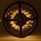 Fita LED Profissional 3528 Branco Quente - rolo 5m Ledsafe