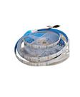 Fita Led Rgb 5050 Rolo 5m 300 Leds Ip20 + Controle SEM SILICONE