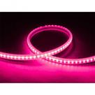 Fita Led Taschibra 5w/m 120 Leds Techcord Ip65 220v Rosa Valor Do Metro Fita Led Taschibra 5w/m 120 Leds Techcord Ip65 220v Rosa Valor Do Metro