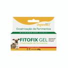 Fitofix Gel para Cicatrização de Ferimentos 60g