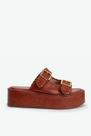 Flatform luiza suzana santos