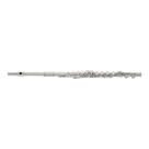 Flauta Michael WFLM33 Transversal