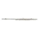 Flauta Transversal Yamaha YFL412 Yfl-412 com Estojo e Bag