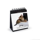 Flipchart de mesa Genuine Fred Daily Cattitude