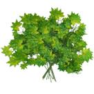 Flor Artificial De Plástico Decorativo Planta Canadense - Castela