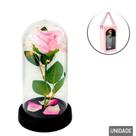 Flor Artificial Na Cupula 22cm Com Led Rosa Tgs4195