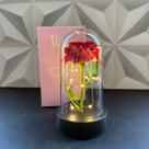 Flor artificial na cúpula vermelha com luz led a bateria na caixa para presente para decoração flores dia dos namorados