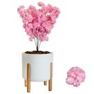 Flor Cerejeira Artificial Planta Com Vaso Pé Madeira Arranjo -