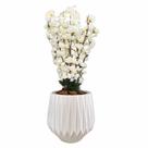 Flor Cerejeira Pessegueiro Artificial com Vaso Polietileno