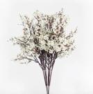 Flor de Cerejeira Branca Galho Marrom, 25 cm