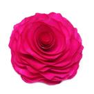 Flor de Madeira - Pink - Inspiração P