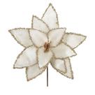 Flor De Natal Bico De Papagaio Aveludado Champagne