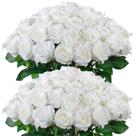 Flor de rosa artificial FOTEEWL Realistic Faux Silk x60 White