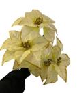 Flor Espirito Santo 5 galhos creme Flor Espirito Santo 5 galhos creme