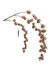 Flor Ht Berries Silvestres Café 80 cm
